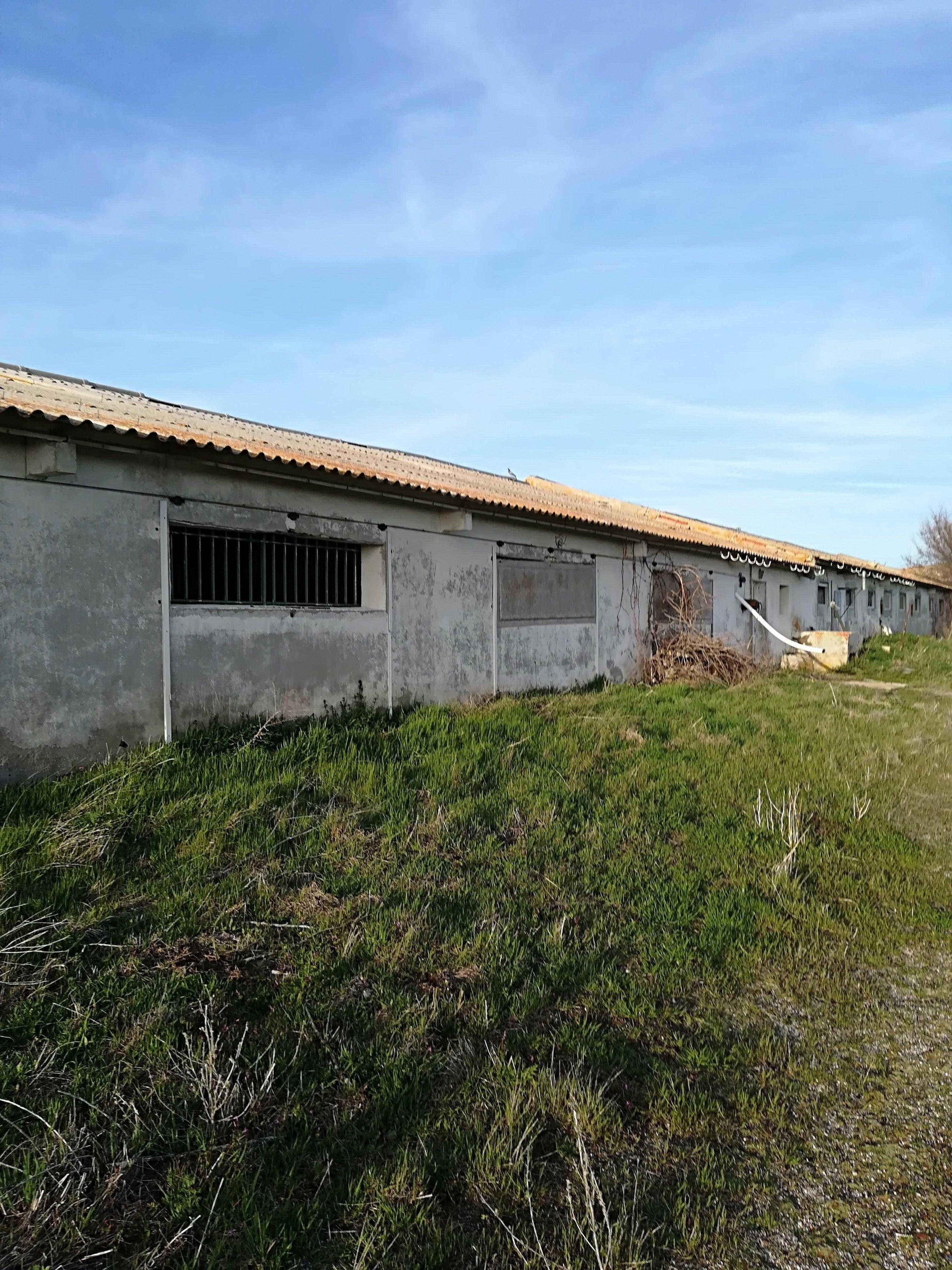 Exterior view of Industrial buildings for sale in Tolocirio