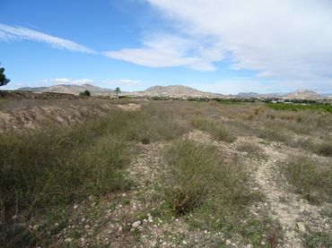 Rural land for sale in Aspe Centro