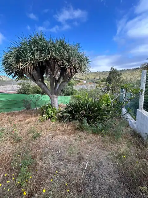 Casa o xalet en venda en Las Palmas de Gran Canaria amb Jardí privat, Terrassa i Traster