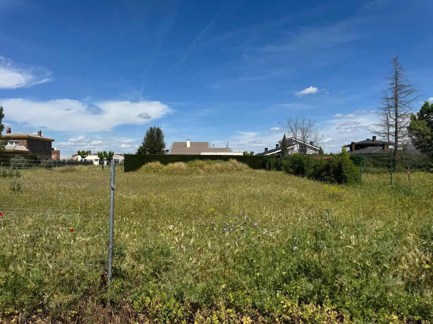 Terreny residencial en venda a Calle Alemania 16, imagen 2