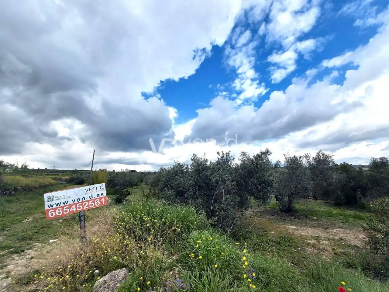 Rustikales Grundstück zum Verkauf in Poligono 7 259, imagen 2