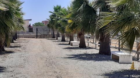 Foto 4 de Terreno en venta en Loreto, Espartinas