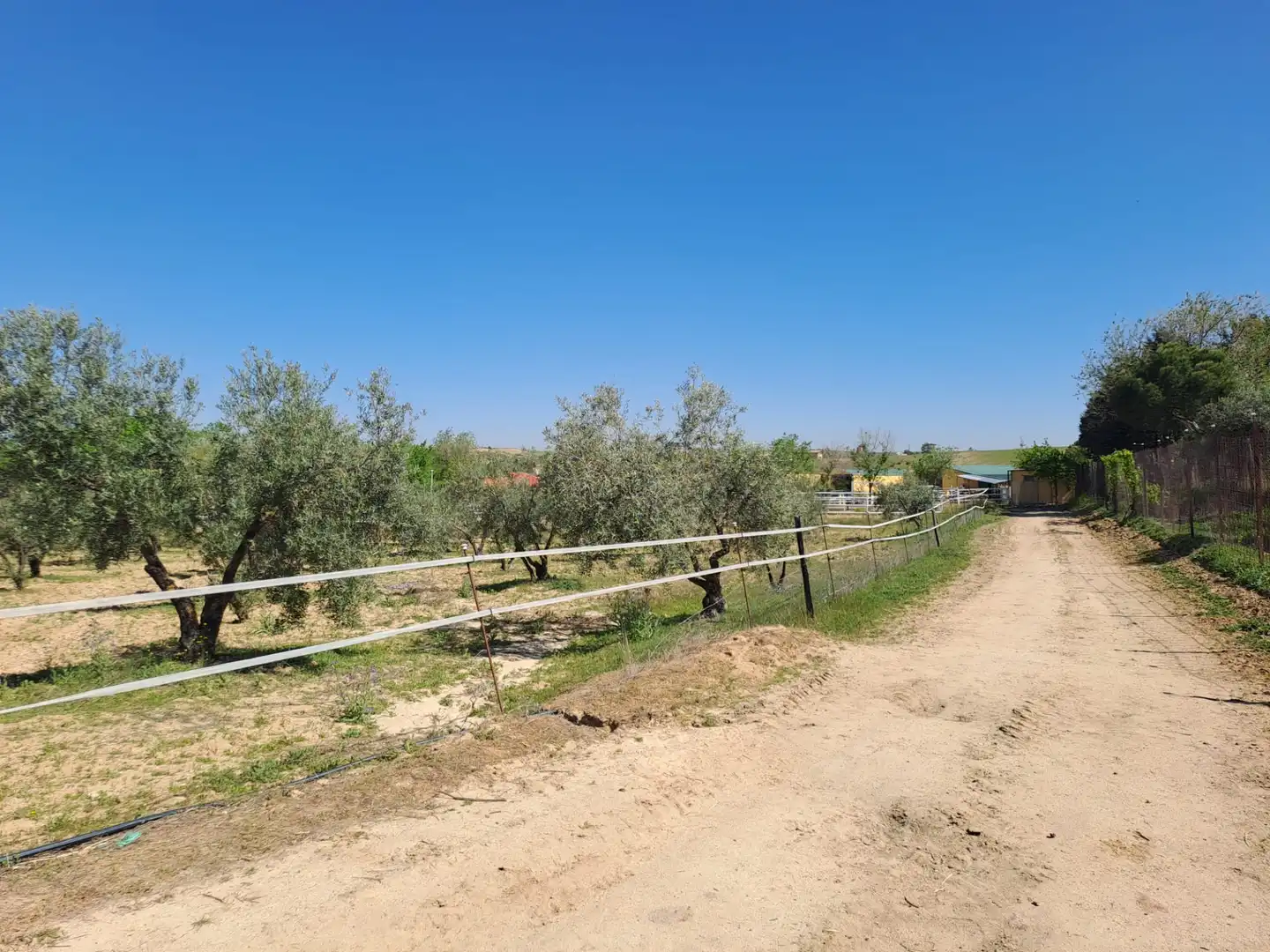 Terreny residencial en venda a Griñón, imagen 34