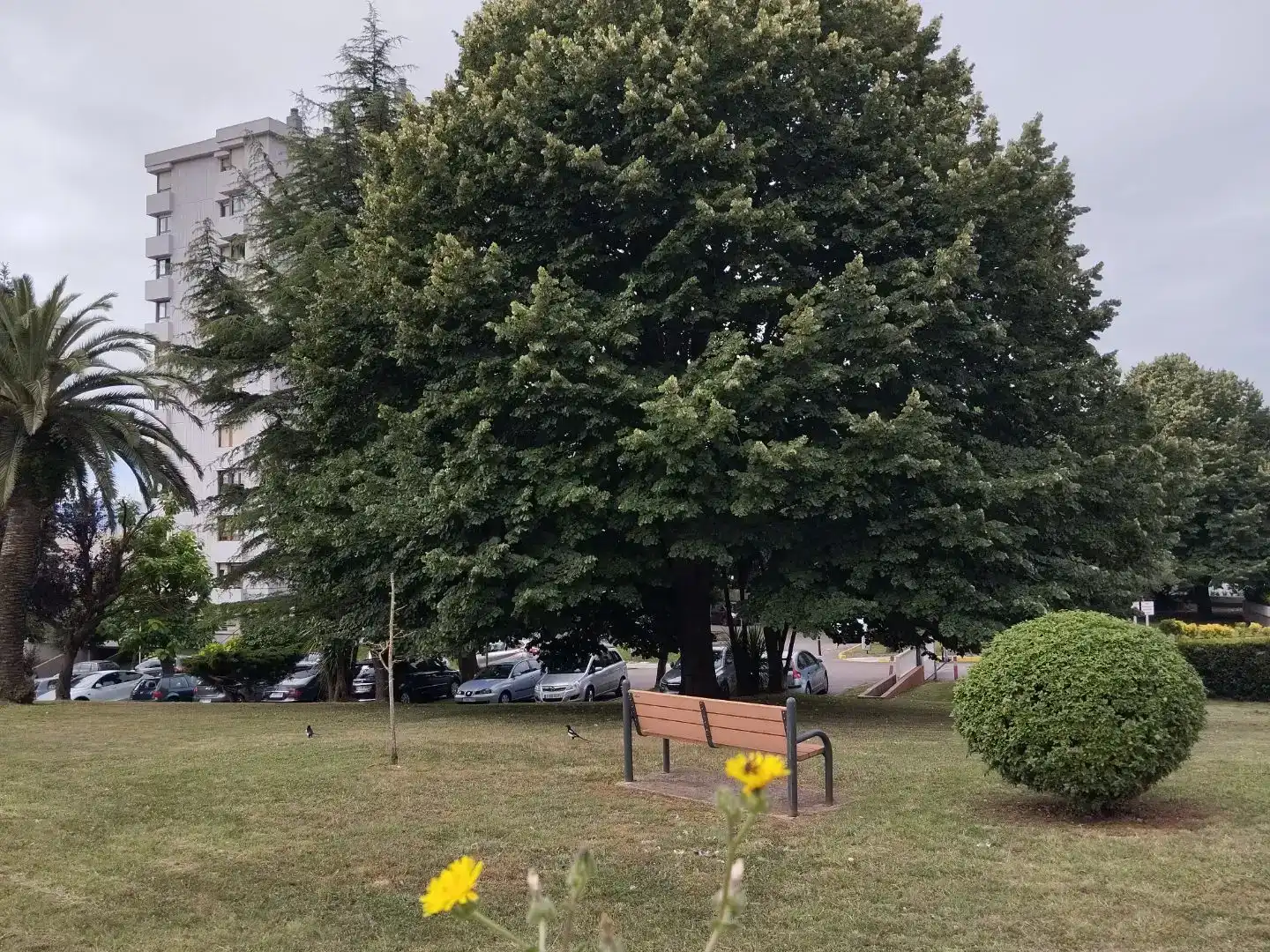 Vista exterior de Pis en venda en Santander amb Balcó