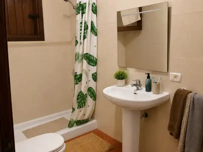 Baño de Casa o chalet en venta en Adeje con Balcón