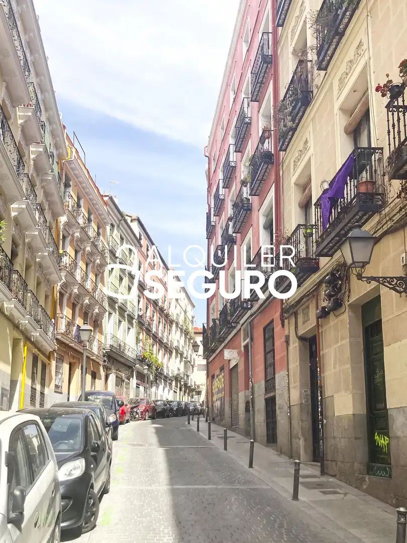 Piso de alquiler en del Olivar, Embajadores - Lavapiés