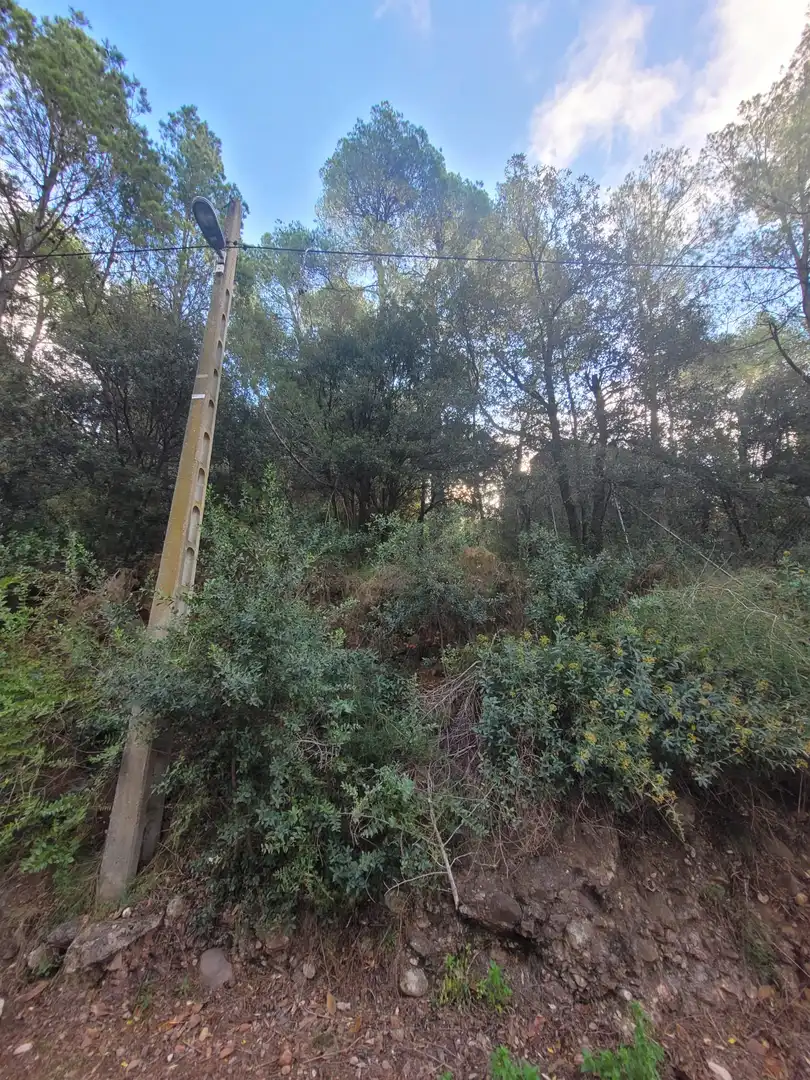 Residential land for sale in Carrer Camí del Moliner 55, imagen 6