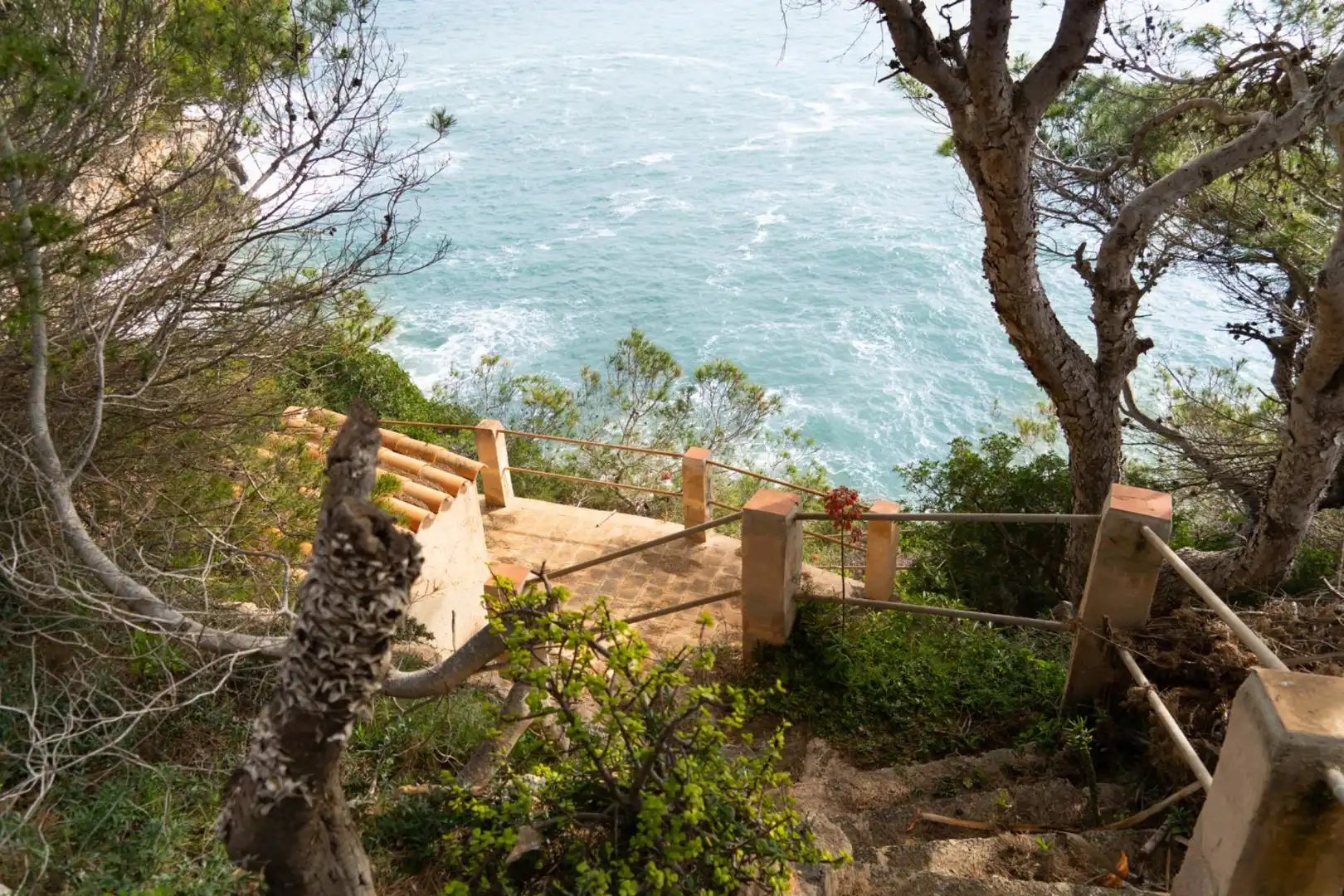 Jardí de Casa o xalet en venda en Llucmajor amb Aire condicionat, Calefacció i Jardí privat