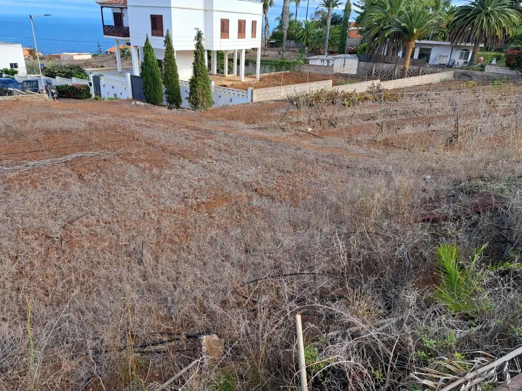 Rural land for sale in El Sauzal, imagen 32