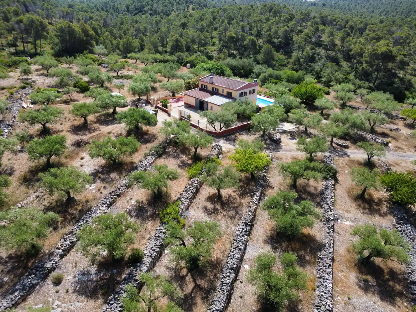 Casa rustica con piscina in vendita a El Perelló, imagen 32