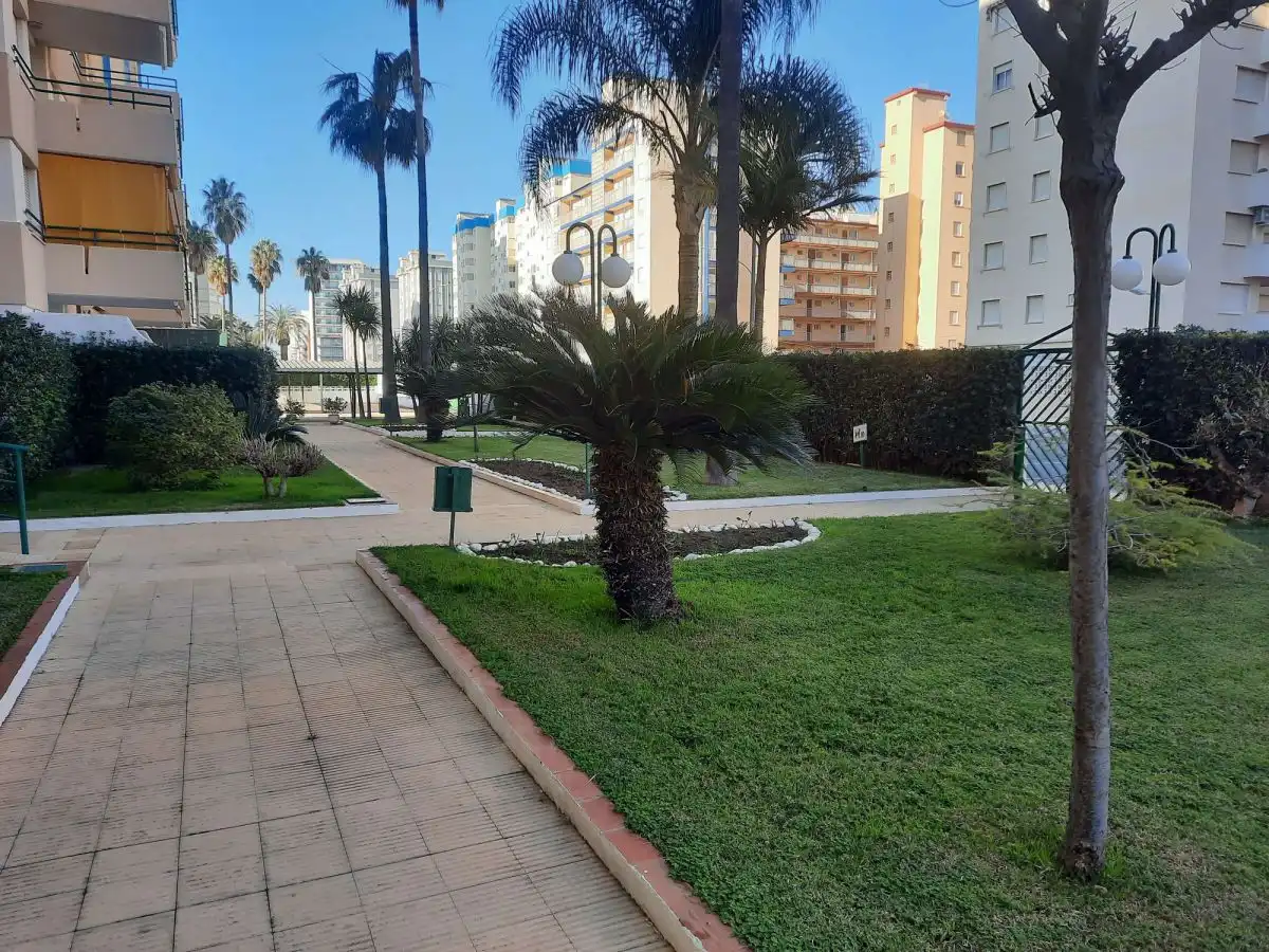 Apartament amb piscina de lloguer a Playa de Gandia, imagen 5
