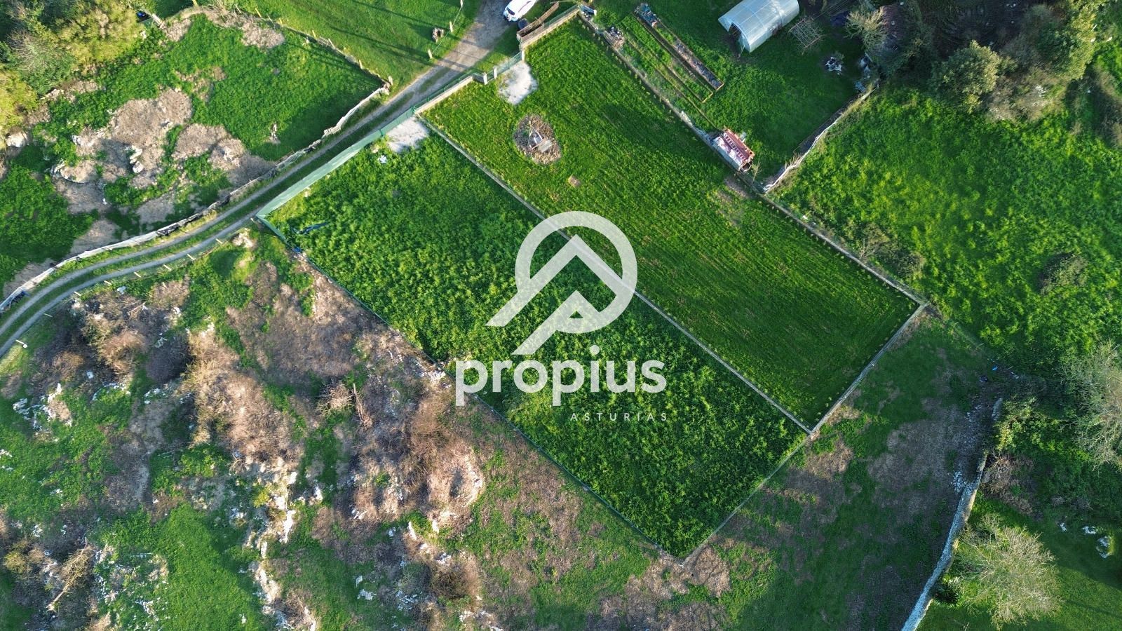 Land for sale in Llanes