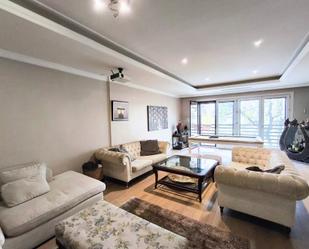 Living room of Flat to rent in  Madrid Capital  with Air Conditioner, Heating and Storage room