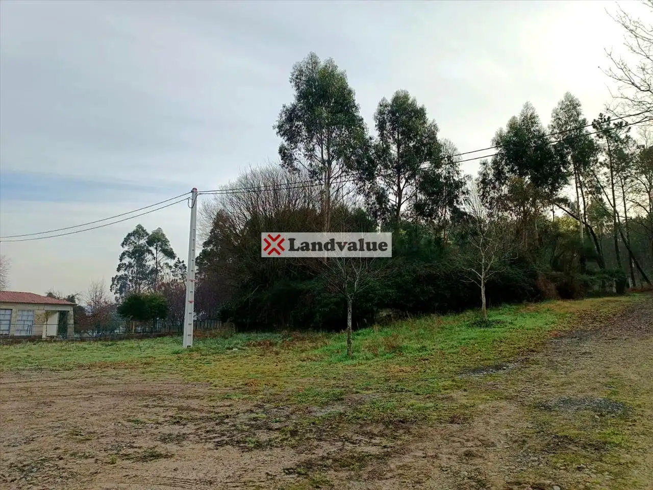 Rural land for sale in Polígono 166, Parcela 65, imagen 12