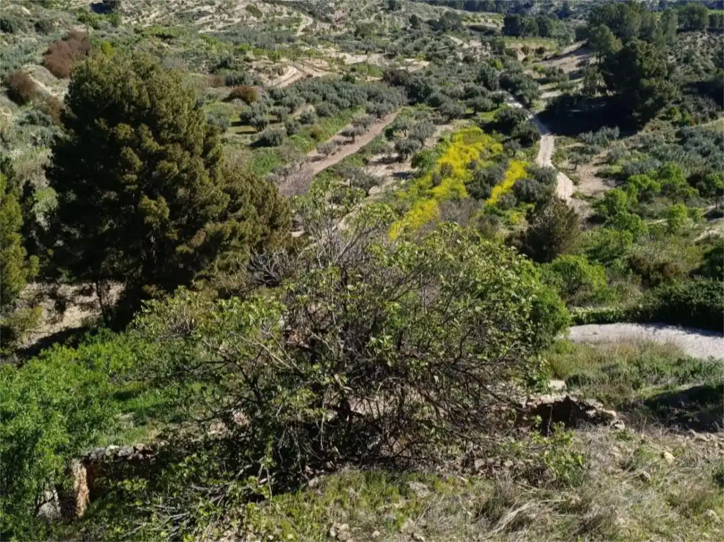 Flat for sale in Socovos