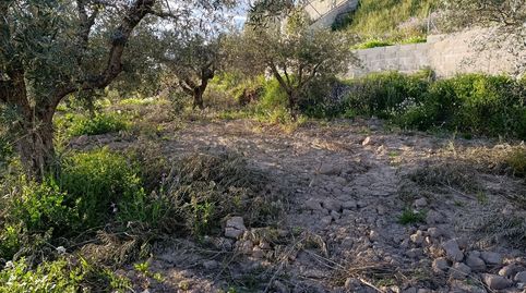 TERRENO DE TRES PARCELAS CON 3600 METROS, immagine 5