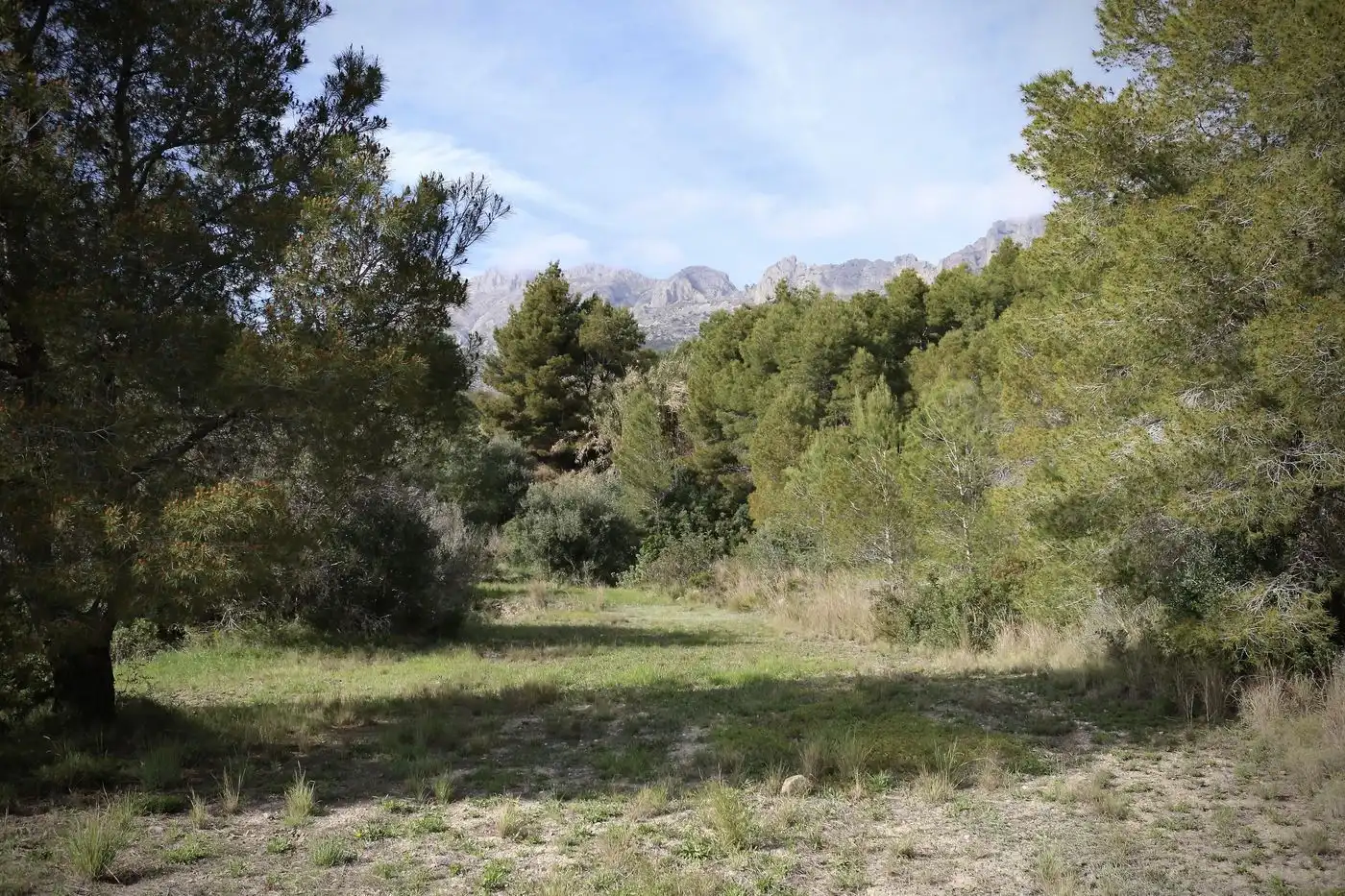 Wohnbaugrundstück zum Verkauf in Altea la Vella, imagen 13
