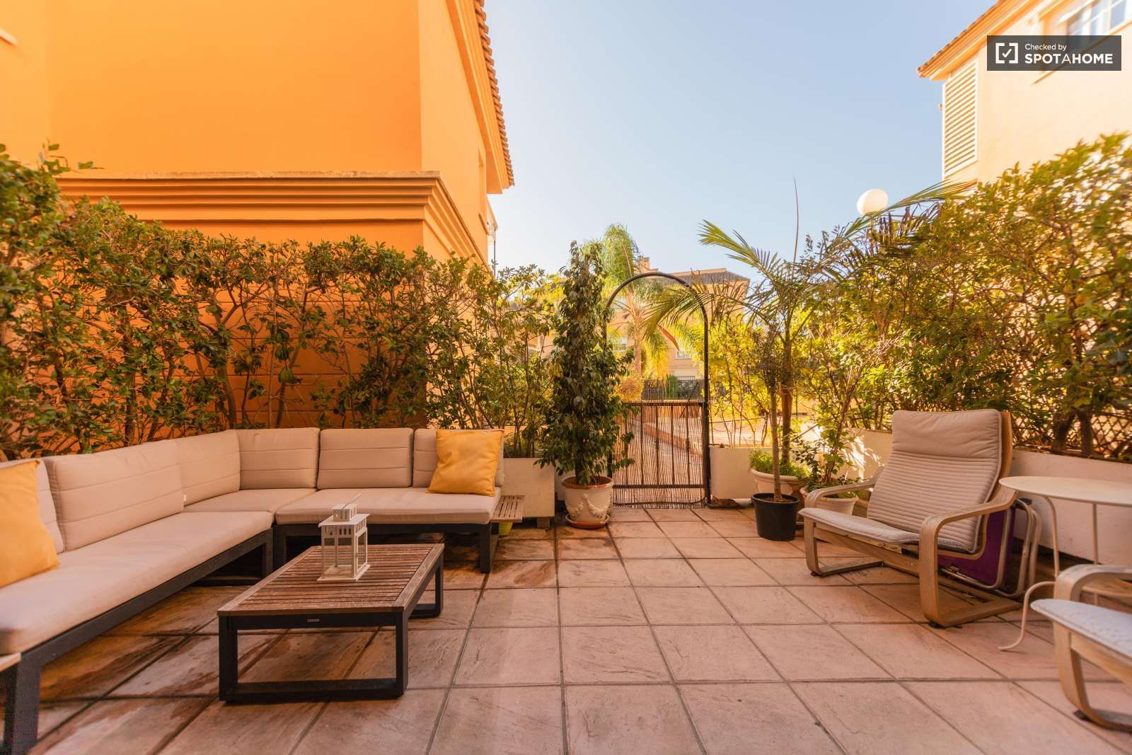 Apartment to share in Campolivar
