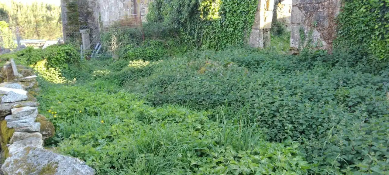 Jardín de Casa o chalet en venta en A Cañiza   con Calefacción y Jardín privado