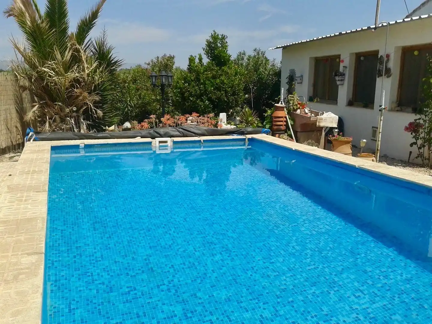 Piscina de Casa o chalet en venta en Villena con Trastero y Piscina