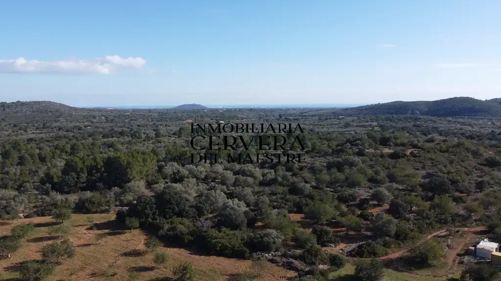 Terreno rustico in vendita a Cervera del Maestre, imagen 23