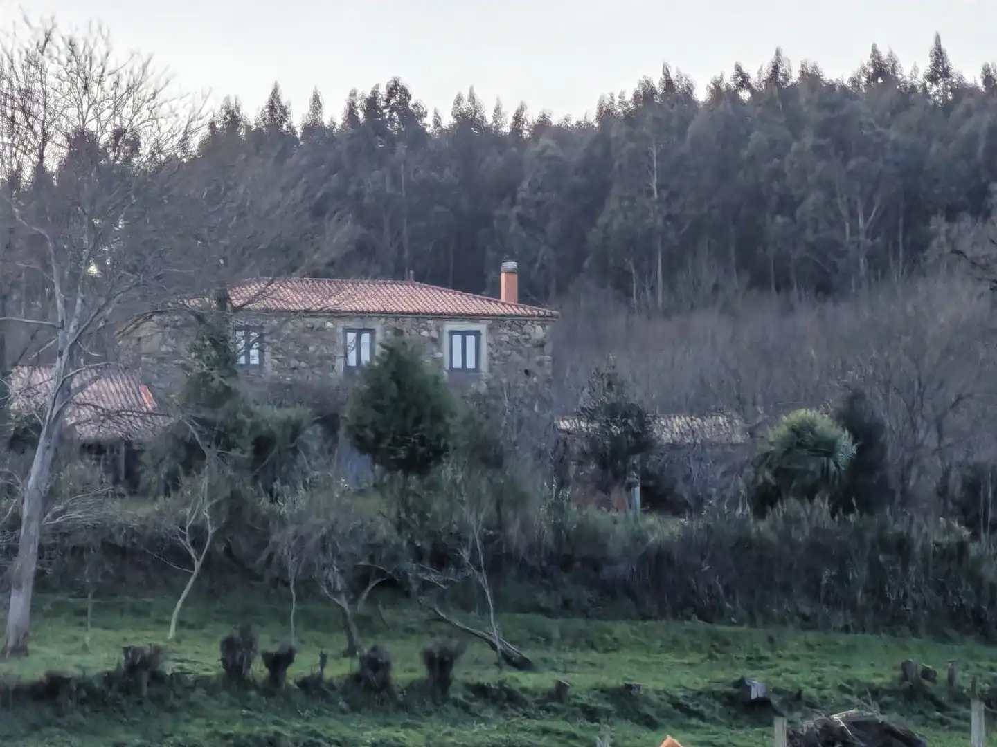 Vista exterior de Casa o chalet en venta en Santiso con Jardín privado, Trastero y Horno