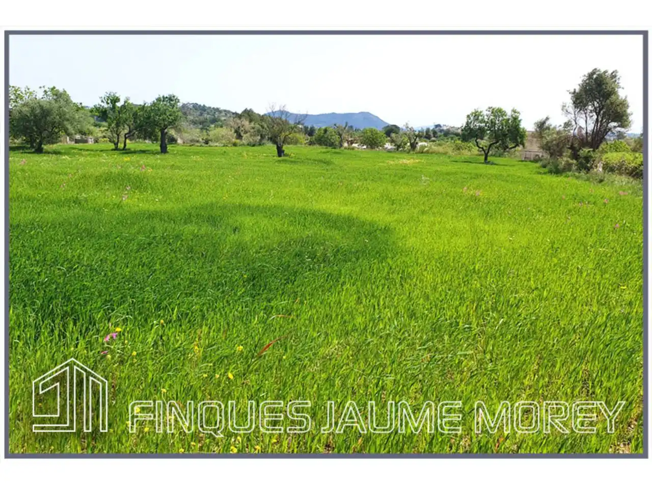 Terrain rustique à vendre à Poligono 12 Sn, imagen 3