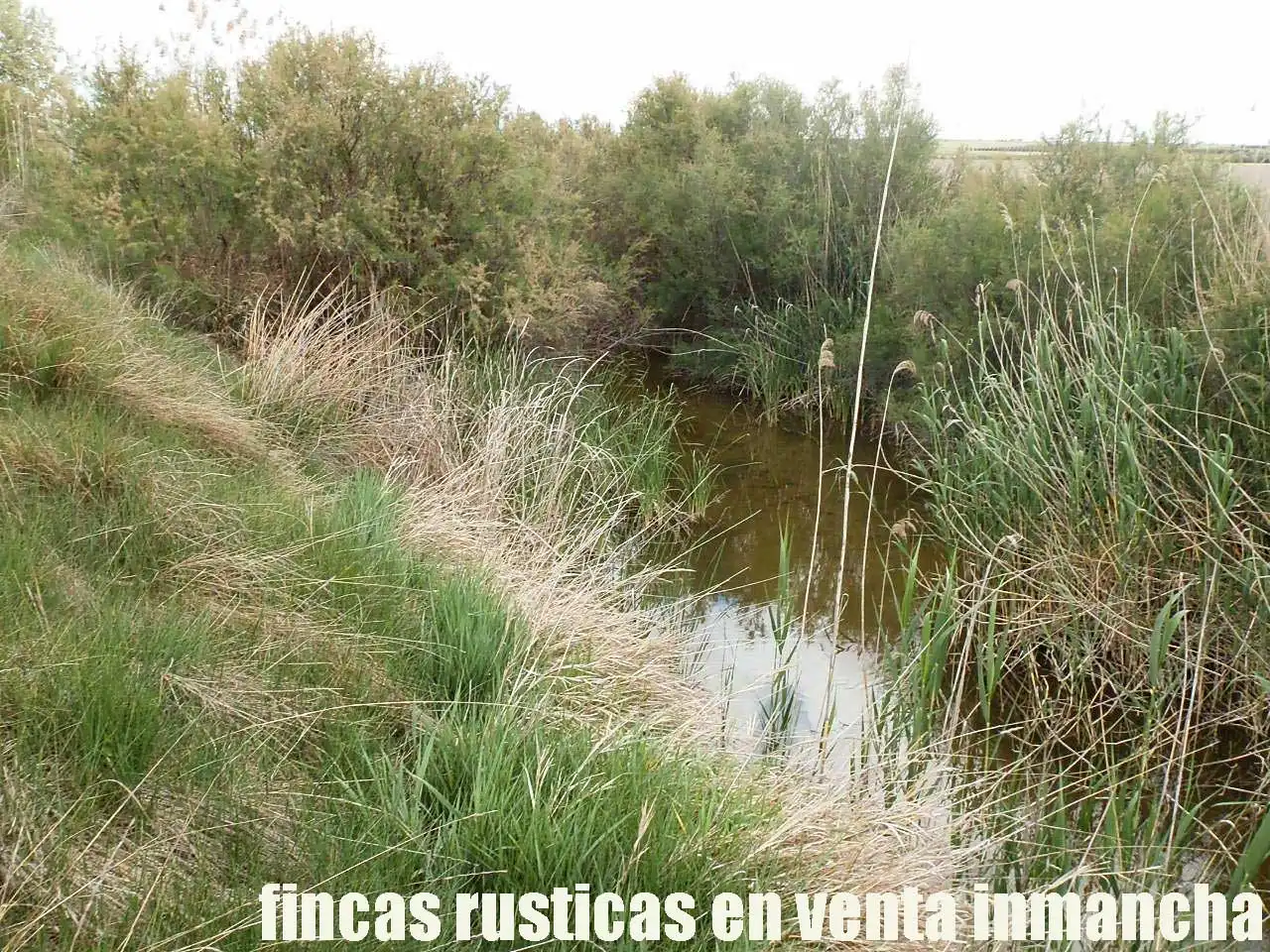 Terreny rústic en venda a Alcázar de San Juan, imagen 22