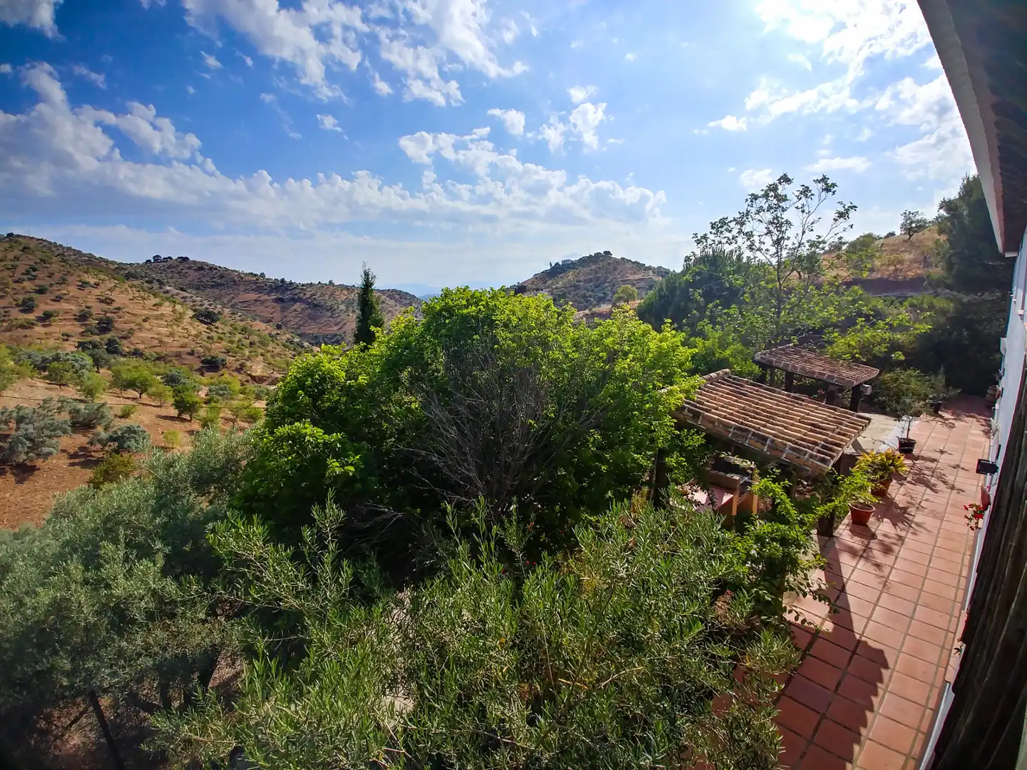 Jardín de Finca rústica en venta en Almogía con Aire acondicionado, Terraza y Piscina