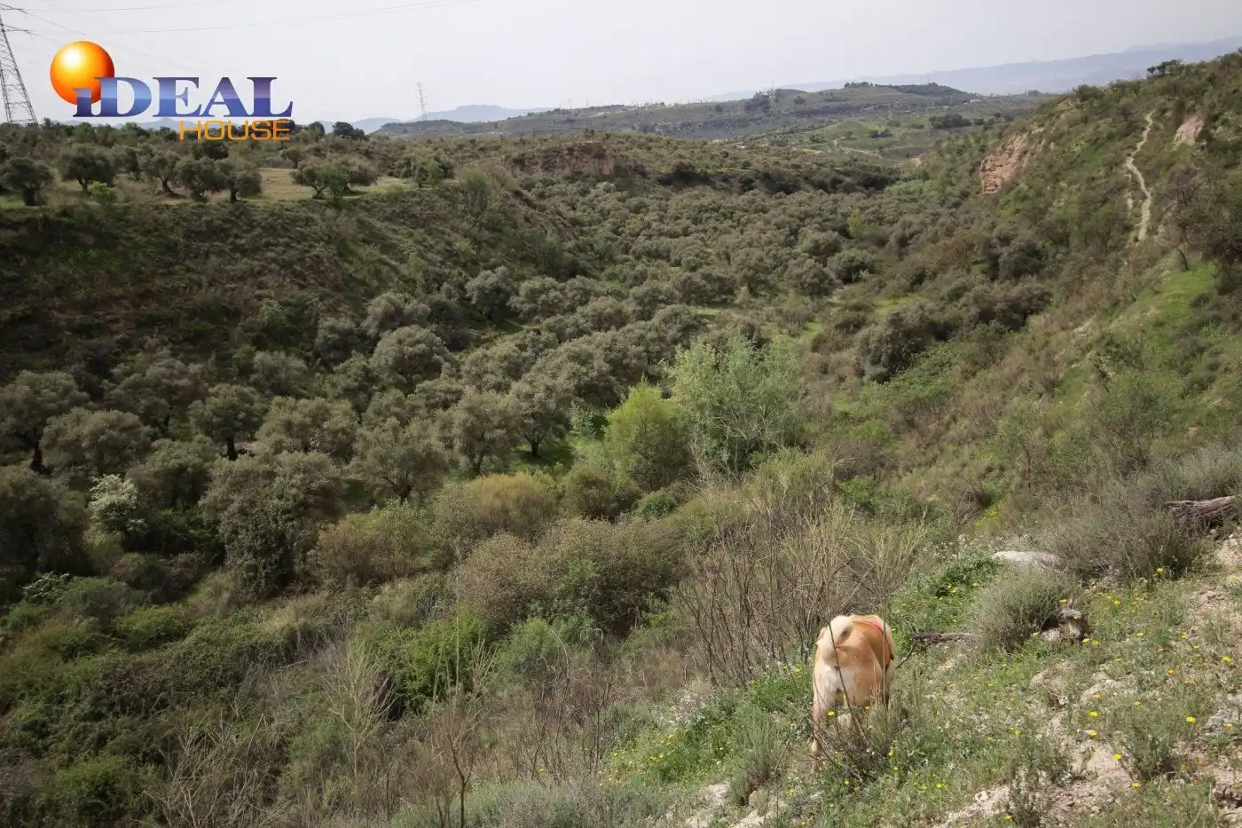 Country homes for sale in Víznar