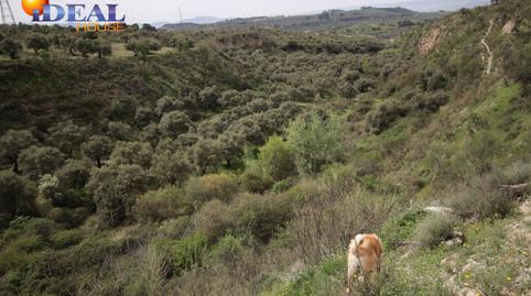 Photo 4 of Country house for sale in Víznar, Granada
