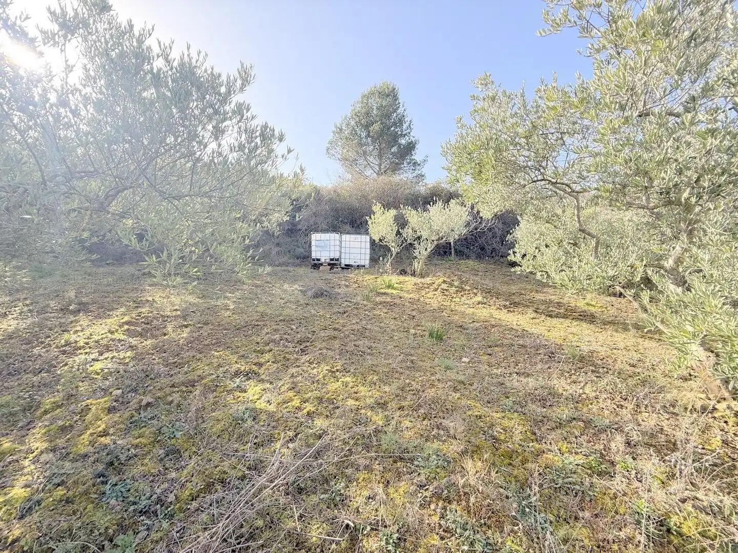 Terreno en venta en Cirauqui / Zirauki