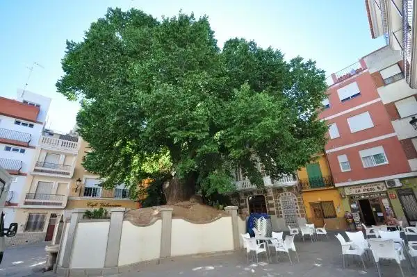 Piso en venta en Navajas, imagen 18