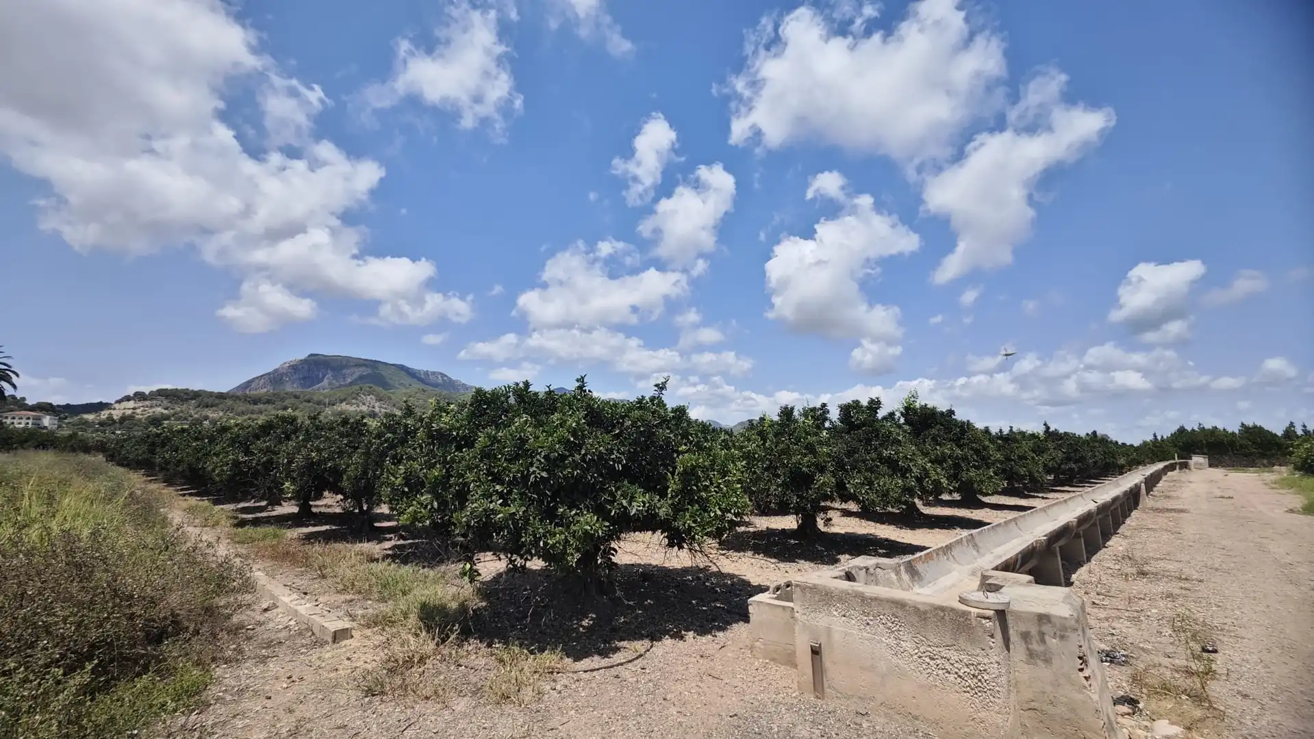 Terreny residencial en venda a Tavernes de la Valldigna