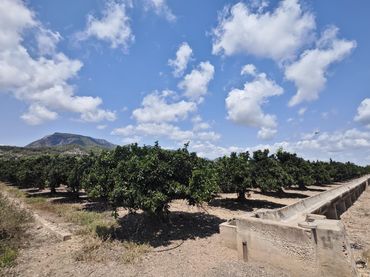 Terreny residencial en venda a Tavernes de la Valldigna