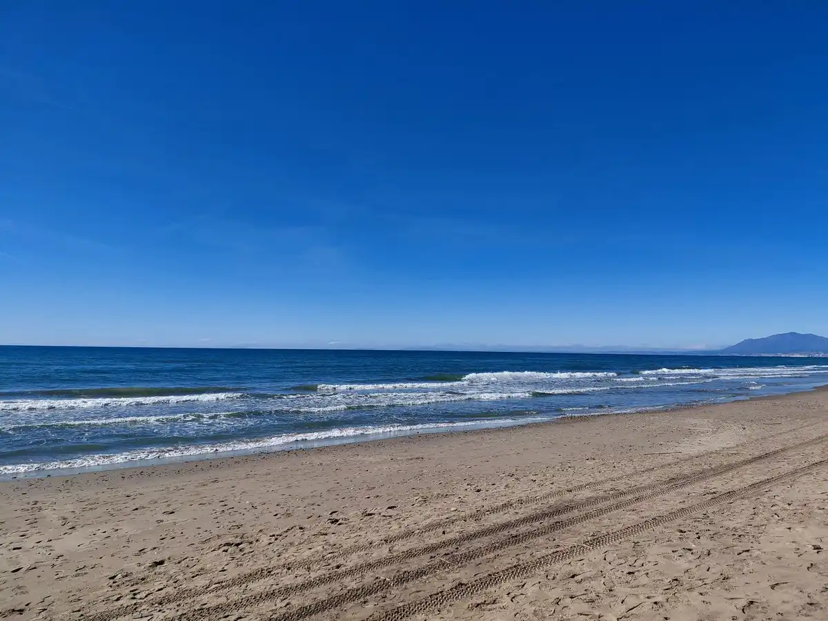 Vista exterior de Ático en venta en Marbella con Terraza, Trastero y Piscina