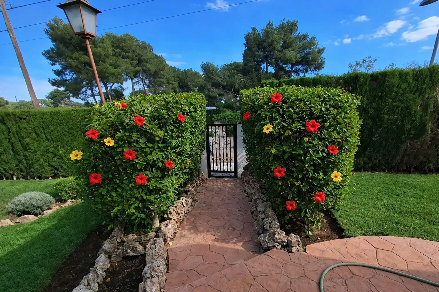 Jardín de Casa o chalet en venta en Paterna con Calefacción, Jardín privado y Terraza