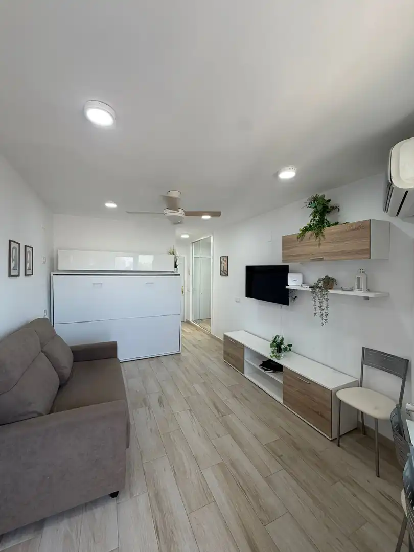 Living room of Study for rent in Benalmádena  with Air Conditioner, Heating and Furnished