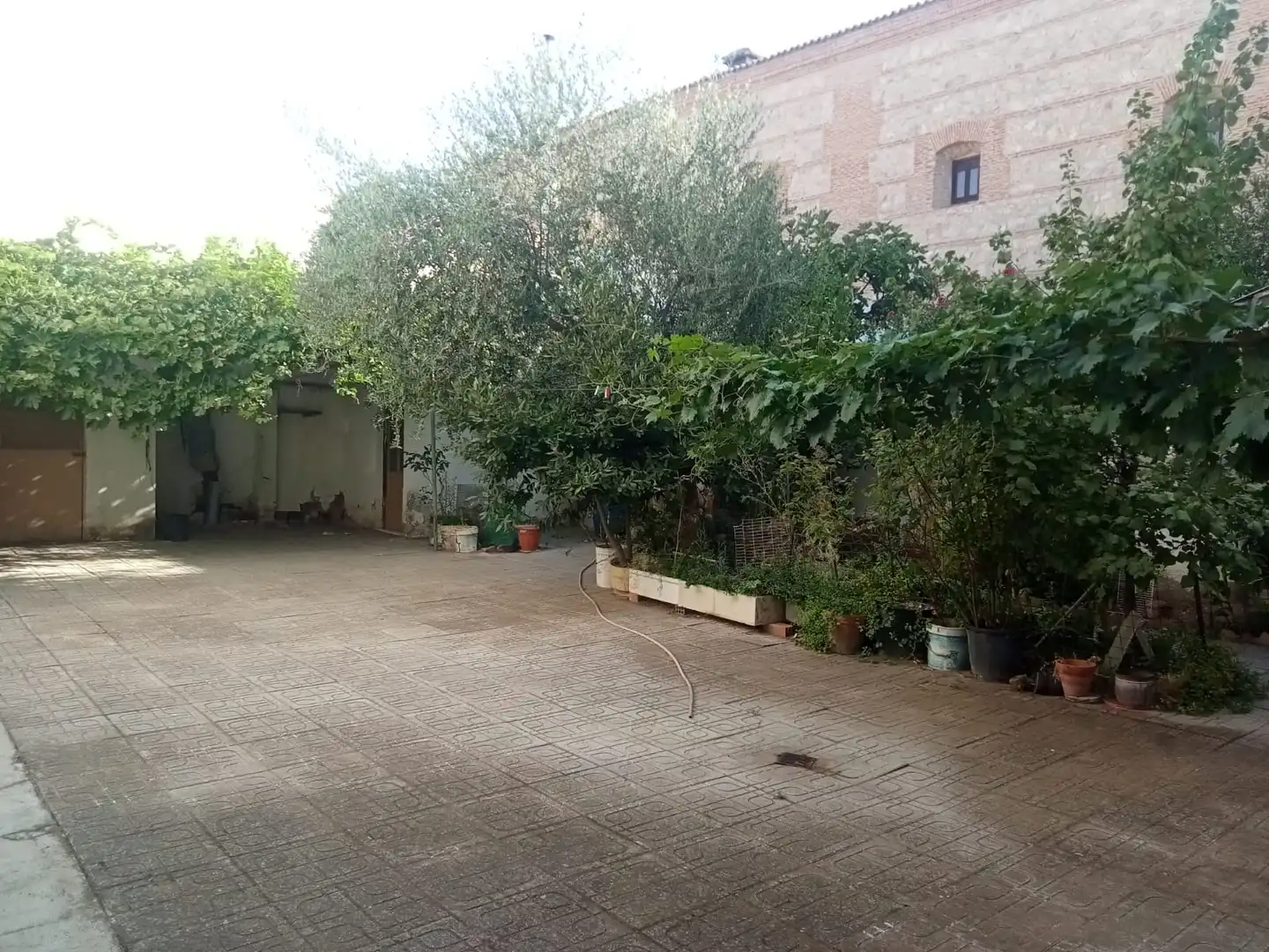 Maison avec jardin à vendre à Calle Murillo, imagen 22