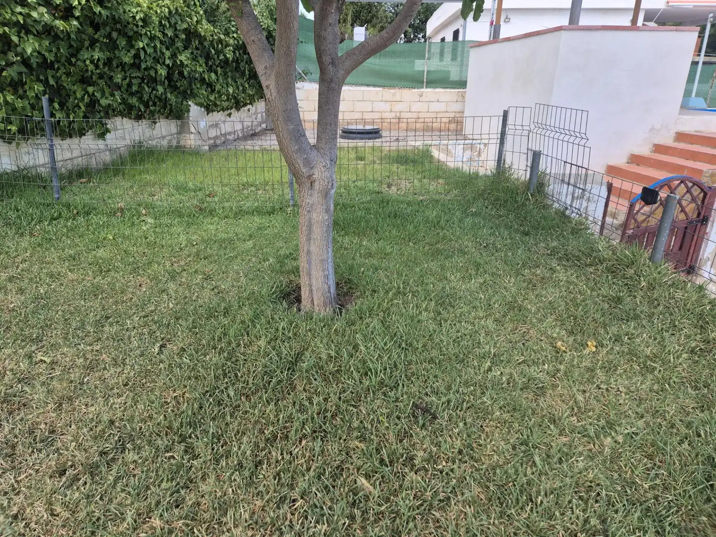 Casa o chalet en venta en Llíria con Piscina comunitaria