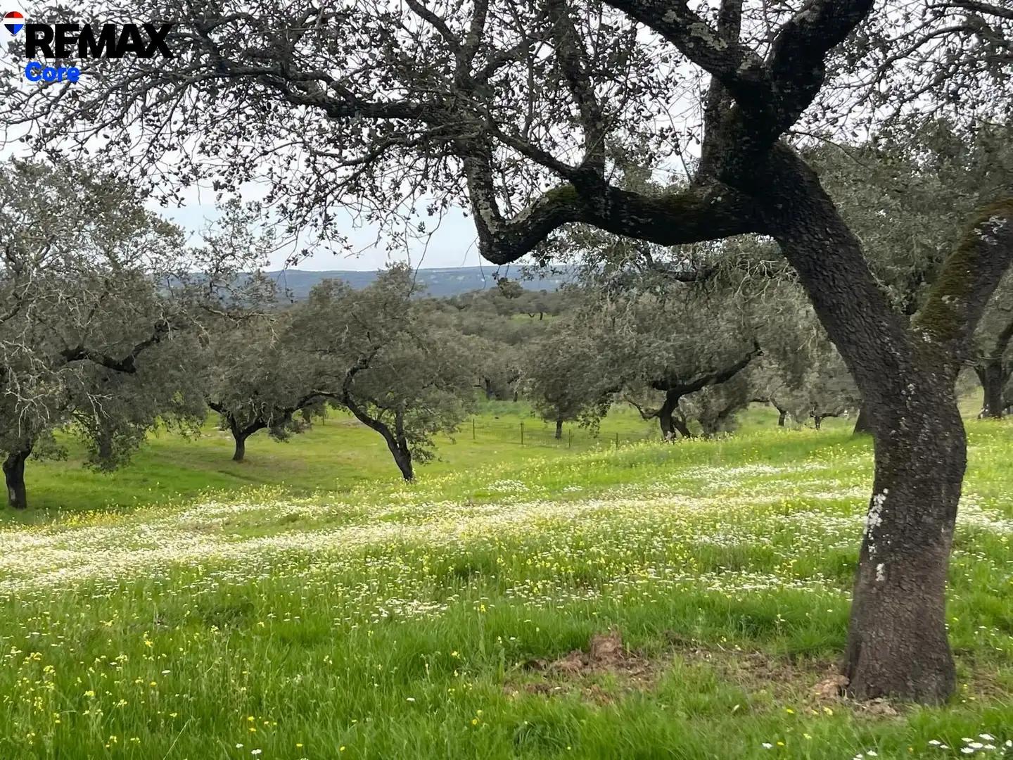 Terreni e lotti in vendita a Jerez de los Caballeros, imagen 15