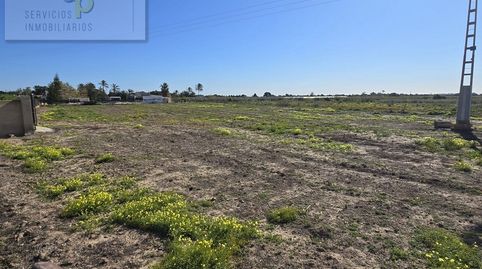 Foto 5 von Grundstücke zur Miete in Partida Torrellano Bajo, 1103, Torrellano, Elche / Elx