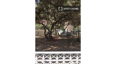 Foto 3 de Habitació a Las Rotas / Les Rotes, Dénia