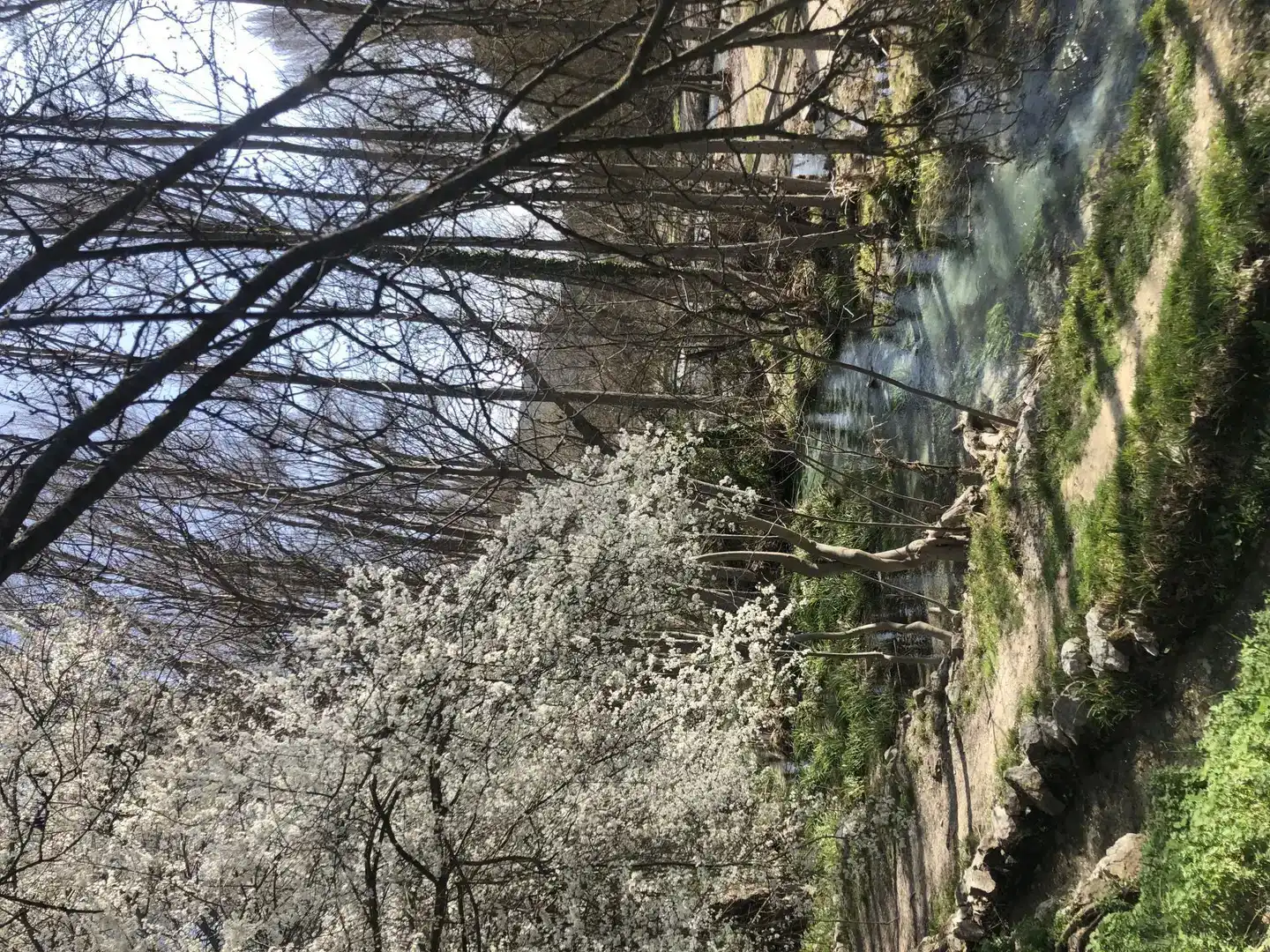 Jardí de Casa adosada en venda en Pozo Alcón amb Balcó