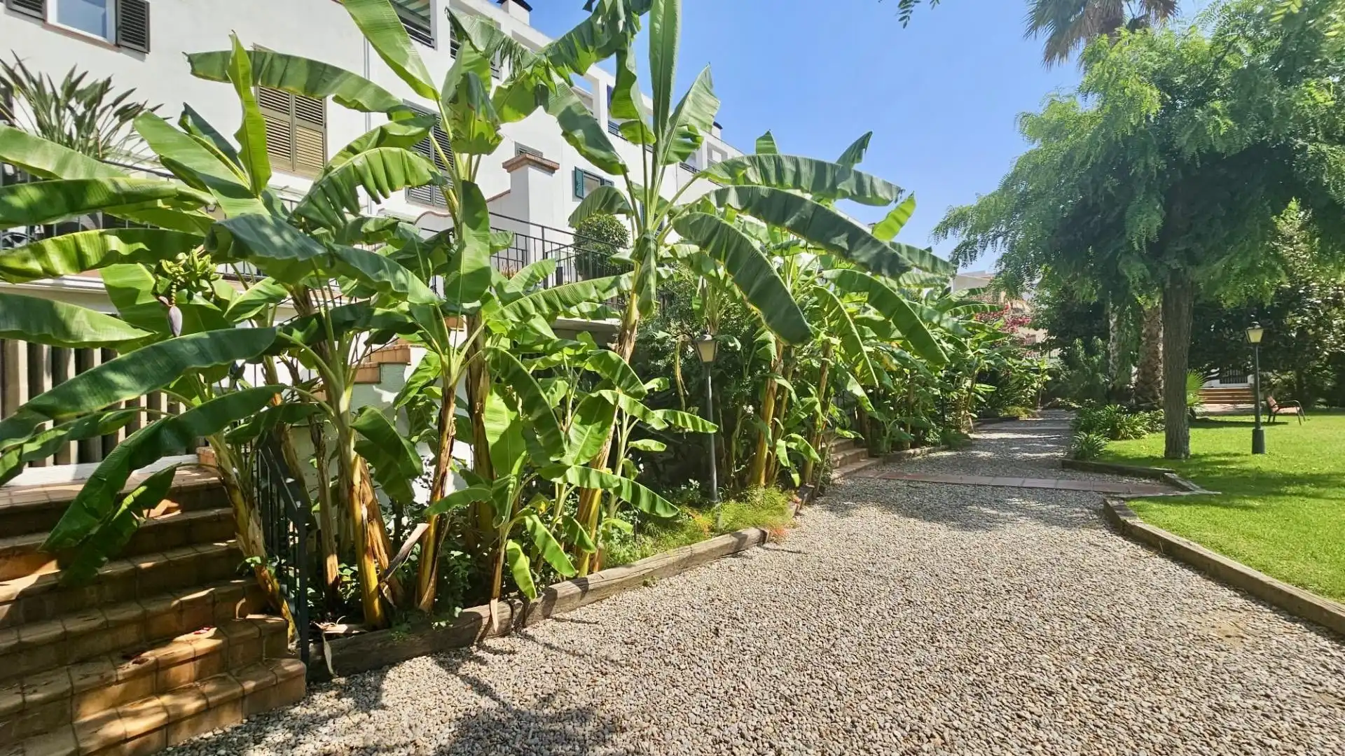 Vista exterior de Casa o chalet en venta en Calella con Aire acondicionado, Calefacción y Jardín privado