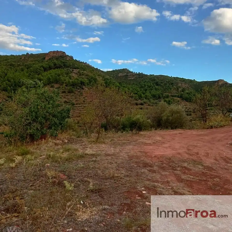 Lands and plots for sale in Calvario 209