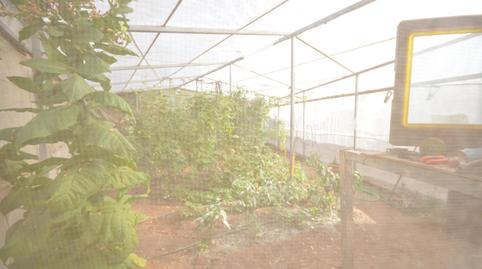 Photo 3 of Country house for sale in Des Puig, Santa Eugènia, Illes Balears