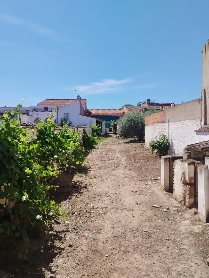 Casa o chalet en venta en La Albuera con Jardín privado, Trastero y Amueblado