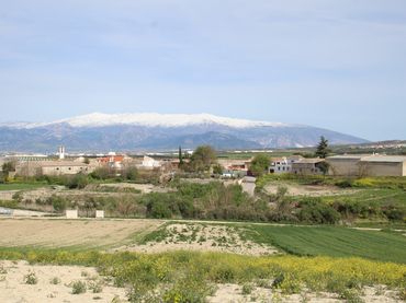 Terreno rústico en venta en Ventas de Huelma