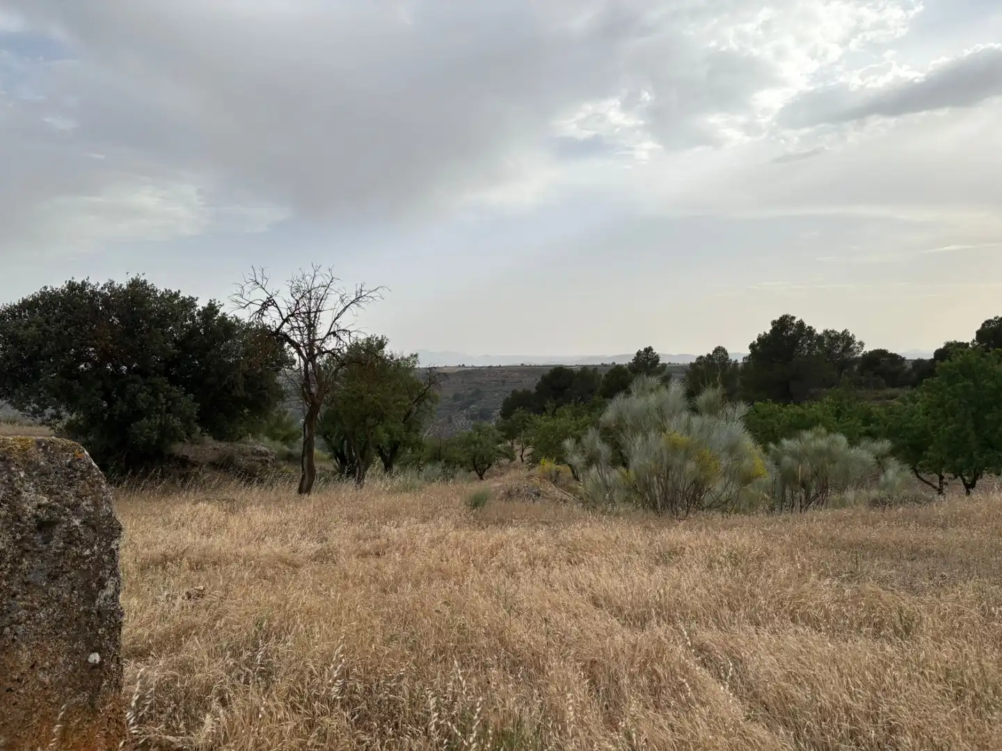 Terreno rústico en venta en Cortes de Baza, imagen 9